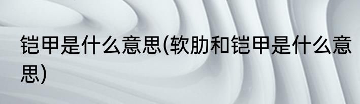 铠甲是什么意思(软肋和铠甲是什么意思)