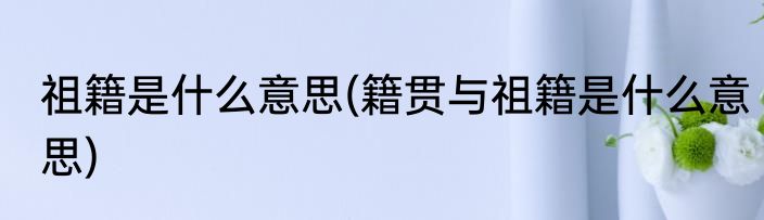 祖籍是什么意思(籍贯与祖籍是什么意思)