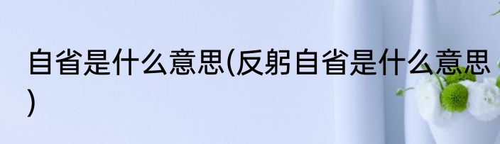 自省是什么意思(反躬自省是什么意思)