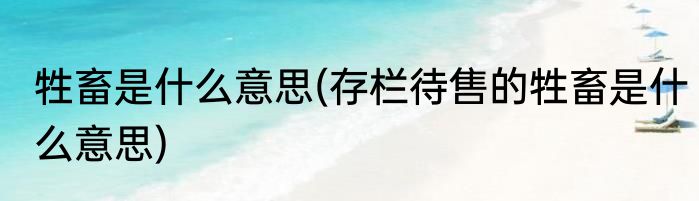 牲畜是什么意思(存栏待售的牲畜是什么意思)