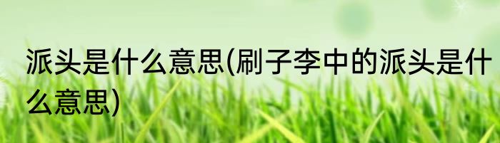 派头是什么意思(刷子李中的派头是什么意思)