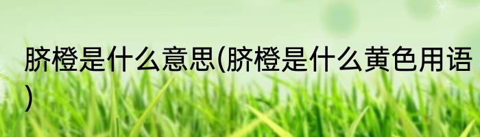 脐橙是什么意思(脐橙是什么黄色用语)