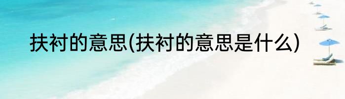 扶衬的意思(扶衬的意思是什么)