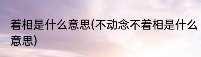 着相是什么意思(不动念不着相是什么意思)