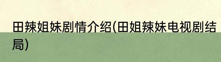田辣姐妹剧情介绍(田姐辣妹电视剧结局)