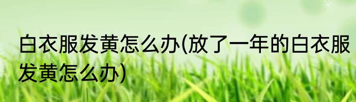 白衣服发黄怎么办(放了一年的白衣服发黄怎么办)