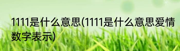 1111是什么意思(1111是什么意思爱情数字表示)