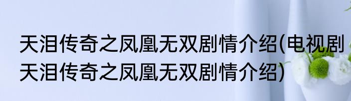 天泪传奇之凤凰无双剧情介绍(电视剧天泪传奇之凤凰无双剧情介绍)