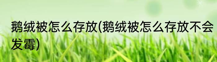 鹅绒被怎么存放(鹅绒被怎么存放不会发霉)