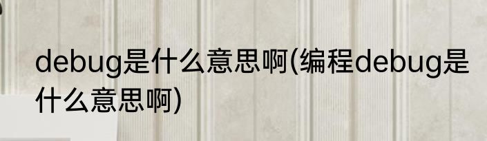 debug是什么意思啊(编程debug是什么意思啊)