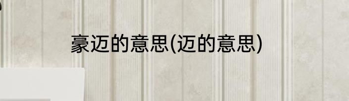 豪迈的意思(迈的意思)