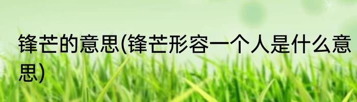 锋芒的意思(锋芒形容一个人是什么意思)