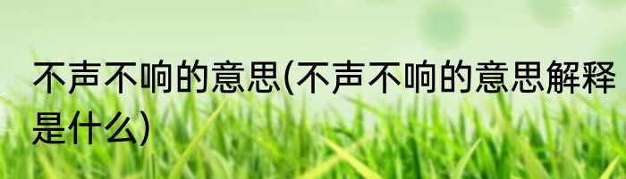 不声不响的意思(不声不响的意思解释是什么)