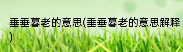 垂垂暮老的意思(垂垂暮老的意思解释)