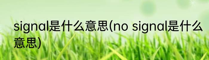 signal是什么意思(no signal是什么意思)