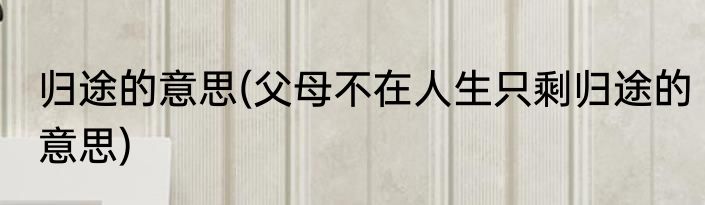 归途的意思(父母不在人生只剩归途的意思)