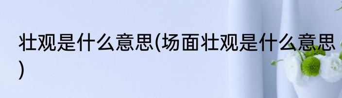 壮观是什么意思(场面壮观是什么意思)
