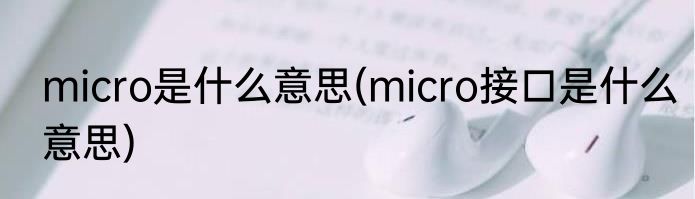 micro是什么意思(micro接口是什么意思)