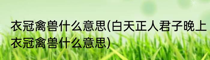 衣冠禽兽什么意思(白天正人君子晚上衣冠禽兽什么意思)