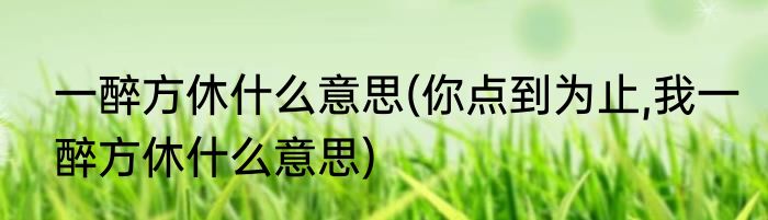 一醉方休什么意思(你点到为止,我一醉方休什么意思)