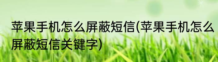 苹果手机怎么屏蔽短信(苹果手机怎么屏蔽短信关键字)