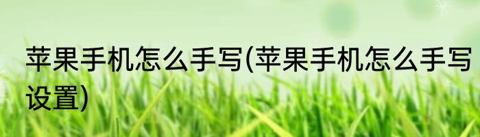 苹果手机怎么手写(苹果手机怎么手写设置)