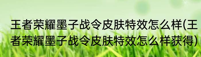 王者荣耀墨子战令皮肤特效怎么样(王者荣耀墨子战令皮肤特效怎么样获得)