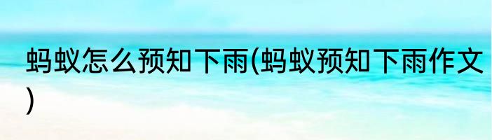 蚂蚁怎么预知下雨(蚂蚁预知下雨作文)