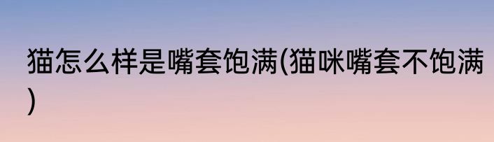 猫怎么样是嘴套饱满(猫咪嘴套不饱满)