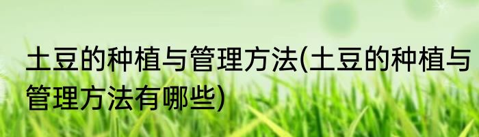 土豆的种植与管理方法(土豆的种植与管理方法有哪些)