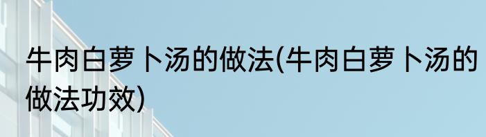 牛肉白萝卜汤的做法(牛肉白萝卜汤的做法功效)