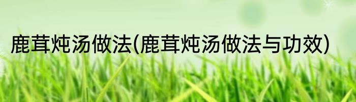 鹿茸炖汤做法(鹿茸炖汤做法与功效)