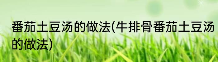 番茄土豆汤的做法(牛排骨番茄土豆汤的做法)