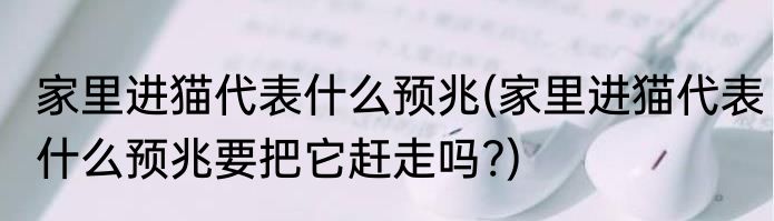 家里进猫代表什么预兆(家里进猫代表什么预兆要把它赶走吗?)