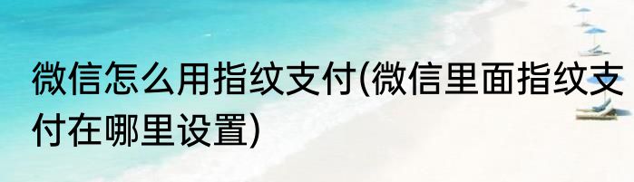 微信怎么用指纹支付(微信里面指纹支付在哪里设置)