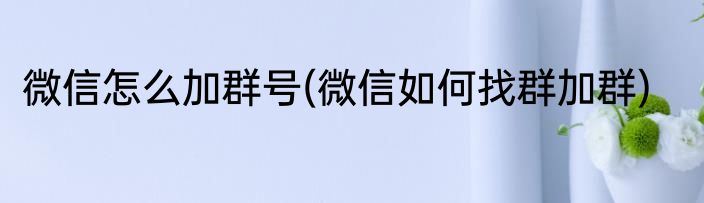 微信怎么加群号(微信如何找群加群)