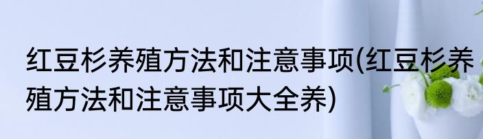 红豆杉养殖方法和注意事项(红豆杉养殖方法和注意事项大全养)