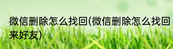 微信删除怎么找回(微信删除怎么找回来好友)