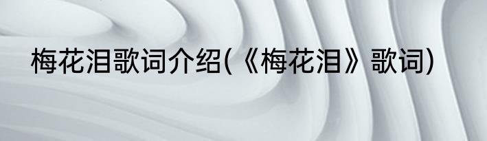 梅花泪歌词介绍(《梅花泪》歌词)