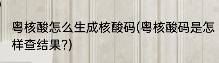 粤核酸怎么生成核酸码(粤核酸码是怎样查结果?)