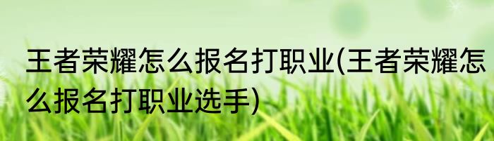 王者荣耀怎么报名打职业(王者荣耀怎么报名打职业选手)