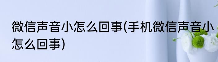 微信声音小怎么回事(手机微信声音小怎么回事)