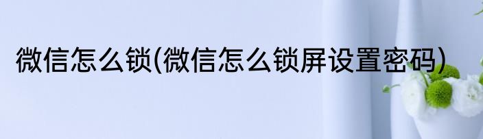 微信怎么锁(微信怎么锁屏设置密码)
