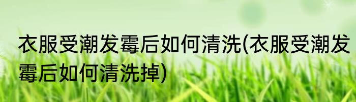 衣服受潮发霉后如何清洗(衣服受潮发霉后如何清洗掉)