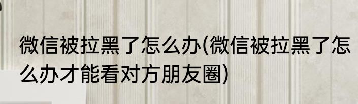 微信被拉黑了怎么办(微信被拉黑了怎么办才能看对方朋友圈)