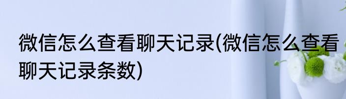 微信怎么查看聊天记录(微信怎么查看聊天记录条数)