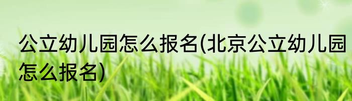 公立幼儿园怎么报名(北京公立幼儿园怎么报名)