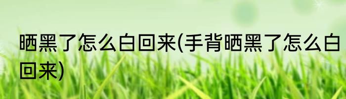 晒黑了怎么白回来(手背晒黑了怎么白回来)