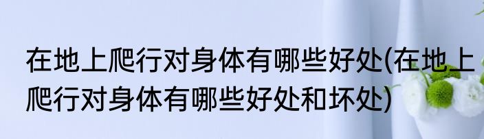 在地上爬行对身体有哪些好处(在地上爬行对身体有哪些好处和坏处)