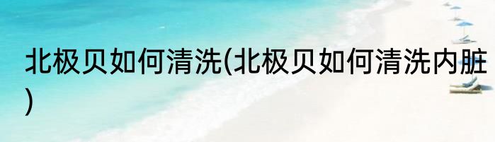 北极贝如何清洗(北极贝如何清洗内脏)